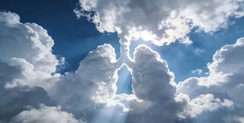 塔城肺癌11基因检测组织版图片1