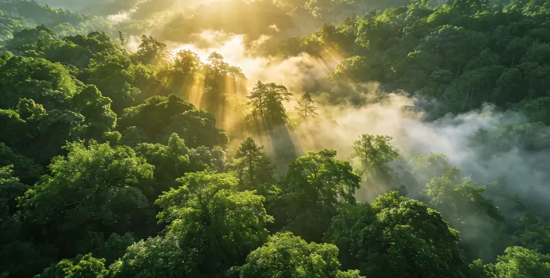 塔城肺癌120基因ctDNA突变检测(血液）图片1