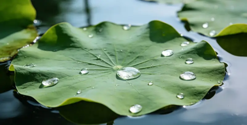 塔城乳腺癌21基因mRNA表达分析图片1